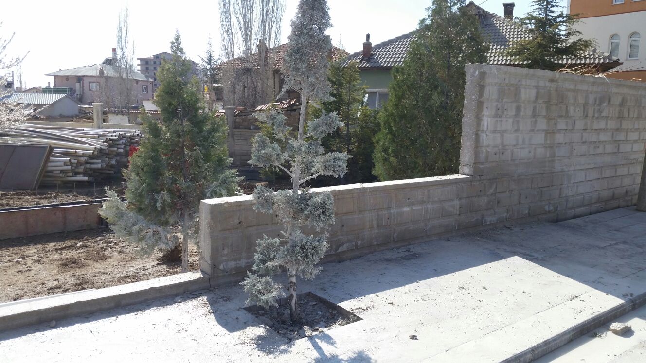 RESIMLERIMİZ DEVAMI